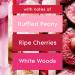 Glade Scented Candle Blooming Peony and Cherry 3-Wick Candle Air Freshener Infused with Essential Oils for Home Fragrance 1 Count - Buy Online on SooperMarket.com