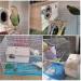 Kathson Parrot Nest Breeding Box with Perches - Small Size | Natural Coconut Fiber Birdhouse for Parakeet Cockatoo Budgie - Pet Cage Accessories - Buy Online on SooperMarket.com