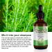 Rosemary Oil for Hair Growth & Loss Regrowth Treatment - 2.02 oz | Strengthens, Nourishes Scalp, Improves Circulation - Men & Women - Buy Online on SooperMarket.com