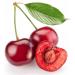 100% Pure Cherry Kernel Oil - Unrefined Cold Pressed Vegan Carrier Oil for Hair & Skin - 32 oz Therapeutic Grade - Buy Online on SooperMarket.com
