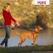 Halti Front Control Anti-Pull Dog Harness - Gentle Leash Control Easy Adjustment & International Shipping - Buy Online on SooperMarket.com