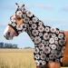 Harrison Howard Soft Fleece Trim Stretchy All-Covered Comfortable Horse Head Hood with Zipper-Daisy L Full (Large) Daisy