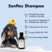 Buy Belly Nourishing Dog Shampoo - Perfect Puppy Shampoo with Keratin & Green Tea | 250ml for Long-Haired Dogs - Fresh Scent & Nourishing Care - Buy Online on SooperMarket.com