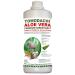 Tomodachi aloe vera juice dog barf addition for dogs nutritional supplements feed additive pure natural product without chemistry aloe vera premium direct juice from the inner gel plant fresh aloevera 500ml