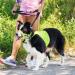 Weesiber Adjustable Soft Dog Handlebars | No Pulling Halter with Reflective Stripes for Small Dogs - Padded & Ideal for Training & Walking - Buy Online on SooperMarket.com