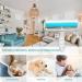 Infinity Insights Animal Hair Remnants & Remover | Washable & Reusable Fur Cleaning Brush for Cats & Dogs Perfect for Carpets Clothes & Sofas - Buy Online on SooperMarket.com