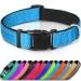 Joytale Dog Collar Reflective Dog Collar for Small Dogs S Blue S (Pack of 1) Blue