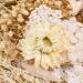 AhlsenL Real Dried Flowers Mix - Hydrangeas, Daisies, White Decorative Petals for DIY Crafts - Buy Online on SooperMarket.com