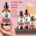 Bella Terra Red Raspberry Seed Oil 2 oz | Omega Fatty Acids & Vitamin E for Skin Nourishment | Luxurious Cold-Pressed Oil - Buy Online on SooperMarket.com