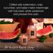 Voluspa Kalahari Watermelon Candle - 5.5 oz Clean Burning Coconut Wax 50 Hour Burn Time All Natural Wicks | Buy Internationally - Buy Online on SooperMarket.com