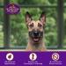 Old Mother Hubbard P-Nuttier Peanut Butter Dog Treats - All Natural, Crunchy, Healthy Snacks for Small Dogs - Buy Online on SooperMarket.com