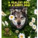 True Dog Flaxseed Oil for Dogs - Natural Omega 3 Supplement for Dogs & Cats - Linseed Oil - Joint Skin & Coat Support (500ml) - Buy Online on SooperMarket.com
