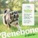 Benebone Wishbone Real Peanuts Medium Durable Dog Chew Toy for Aggressive Chewers | International Shipping Available - Buy Online on SooperMarket.com