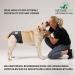 Buy High-Quality Financial Trousers for Dogs 2.0 - Premium Neoprene Diapers for Males - Optimal Airflow No Rod Threading - Large Blue - Buy Online on SooperMarket.com