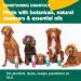 HOWND Yup You Stink 250ml - Dog Shampoo for Smelly Dogs - Fox Poo Shampoo for Dogs - Sensitive Skin Formula with Oatmeal, Eucalyptus, and Cedarwood - Dog Shampoo and Conditioner - Buy Online on SooperMarket.com