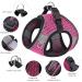 Ankilo Upgraded Harness with Leash Set Escape Proof Dog Vest Harnesses Vest Harnesses with Soft Mesh and Reflective Bands No Pull Small Dog Harness for Cats and Small Dogs (Rose-red S) - Buy Online on SooperMarket.com