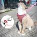 NiCoLa Escape-Proof Cat Harness Set | Reflective Strip | Adjustable Soft Harness for Small Cats (Pink&Green, S) - Buy Online on SooperMarket.com