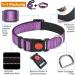 Shop Haapaw Reflective Dog Collar - Padded Neoprene & Breathable Nylon for Small Medium & Large Dogs - Purple (M 1 Pack) | International Shipping Available - Buy Online on SooperMarket.com
