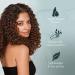 Curl Keeper Refresh Hair Styling Spray - Lightweight Water-Based Anti-Frizz Spray with Hold for Wavy & Curly Styles in Humidity & All Weather Conditions 33.8 Fl Oz 33.8 Fl Oz (Pack of 1) - Buy Online on SooperMarket.com