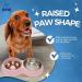 Fur & Bone Double Slow Feeder Dog Bowl | Raised Non-Slip Cat Food & Water Bowl | Stainless Steel, Pink - Buy Online on SooperMarket.com