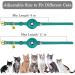 Oopsdoggy Leather Airtag Cat Collar with Bell | Durable GPS Pet Collar for Cats & Small Dogs | Light & Stylish Design (Aquamarine) - Buy Online on SooperMarket.com