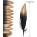50pcs Dipped Gold & Silver 6-8 inch Goose Feathers for Crafts and Apparel - Gold & Black Feathers - Buy Online on SooperMarket.com