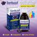 Sambucol Black Elderberry Anti-Viral Flu Care | Quickly Relieves Cold & Flu Symptoms | Immune Support & Antioxidant | Ideal for Families | Syrup 230 mL blue Anti-Viral Flu Care 230 ml (Pack of 1) - Buy Online on SooperMarket.com