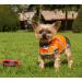 4LegsFriend Reflective Dog Safety Vest - XS | High Visibility for Day and Night Outdoor Activities | Protect Your Dog from Cars & Hunting Accidents | Blaze Orange - Buy Online on SooperMarket.com