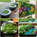 CCINEE 34pcs Artificial Moss Rocks - Perfect for Floral Arrangements, Fairy Gardens, and Crafting - Buy Online on SooperMarket.com