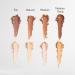 W7 Contour Stick - Double-Ended Creamy Contour & Highlight Makeup - Bronze Shape & Define Skin - Fair Fair 1 count (Pack of 1) - Buy Online on SooperMarket.com
