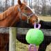 Signature Horsemen's Pride 14-Inch Horse Jolly Tug Blue one size - Buy Online on SooperMarket.com