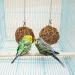 Nature Willow Ball Toys for Small Animals - 4-Piece Set for Guinea Pigs Rabbits Chinches & Birds - Ideal Pet Accessories (10cm) - Buy Online on SooperMarket.com