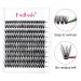 Lash Clusters Extensions 200pcs 40D Individual Cluster Lashes Mixed Tray Black Mink | DIY Eyelash Extensions - Professional Makeup | 8-16mm - Buy Online on SooperMarket.com