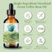 Green Coffee Bean Oil 236 ml Rich in Antioxidants Natural Moisturizer Versatile Use Bella Terra Oils  - Buy Online on SooperMarket.com