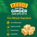 Reedâ€™s Crystallized Ginger - All Natural Baby Ginger Root, Sweetened with Raw Cane Sugar, 11 LB Bulk - Buy Online on SooperMarket.com