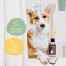 Kin+Kind Charcoal Natural Dog Shampoo - Patchouli Scent, 12 fl oz | Eco-Friendly & Grain-Free - Buy Online on SooperMarket.com