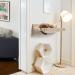COZIWOW Wall Mounted Cat Hammock Bed - Sturdy Kitty Shelf for Sleeping & Playing | Premium Kitten Furniture - Holds up to 22 lbs | White Flannel - Buy Online on SooperMarket.com