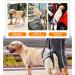 Buy Hamon Portable Dog Harness for Hind Legs - Adjustable Lifting Aid for Older Sick or Post-Operative Dogs (XL) - International Shipping Available - Buy Online on SooperMarket.com