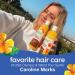 Alba Botanica Colorific Conditioner Plumeria 32 oz - Nourishing Hair Care for Vibrant Color (1 Pack) - Buy Online on SooperMarket.com