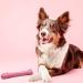 Nylabone Power Chew Breast Cancer Awareness Pink Dog Toy - Chicken Souper Chew - Buy Online on SooperMarket.com