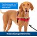 PetSafe Easy Walk Harness - Anti-Pull Dog Harness Red Size L with 1.8M Leash | Reduce Choking & Coughing | International Shipping Available - Buy Online on SooperMarket.com