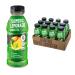 Organic Golden Tiger Turmeric Lemonade with Green Tea - Inflammation Relief, Immunity Support & Daily Recovery Beverage : Bio Active Curcumin + Green Tea + Ginger - 12 Bottles - Recover with Plant Based Power - 20 Calories
