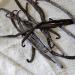 Grade 1 Organic Vanilla Bourbon Pods from Madagascar - Gourmet Black - 2 Pods 15-18 cm - AB Certified by Aroma Labs - Buy Online on SooperMarket.com
