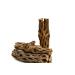 NApremium Natural Cholla Wood. Long Natural Cholla Wood for Aquarium Decoration, Hermit Crabs, Shrimp. 3x 5-6 Inch Cholla