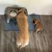 Finorder 34x21 100% Silicone Pet Feeding Mat - Raised Edges, Slip Resistant, Waterproof, Dishwasher Safe - Buy Online on SooperMarket.com