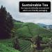 Tropical Rooibos Loose Leaf Tea - 200g Camellios | Buy Online - Buy Online on SooperMarket.com