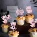 24PCS We Can Bearly Wait Cupcake Toppers Sparkling Balloon Bear Cupcake Toppers Little Bear Theme Baby Shower Decorative Supplies Gender Revealing Theme Children's Birthday Party Supplies Pink Pink3 - Buy Online on SooperMarket.com