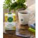 Traditional Medicinals Yellow Pau d'Arco Herbal Tea - Pack of 2 (32 Tea Bags) for Wellness - Buy Online on SooperMarket.com