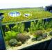 Peutier 5stk Floating Plant Rings for Aquariums - Round Planting Corrals in 5 Sizes - Yellow Fish Feeding Rings Hold Floating Plants in Place - Buy Online on SooperMarket.com