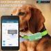 Counlisha Silicone Holder for Tractive XL GPS Tracker | Durable Scratch-Resistant Dog Collar Cover | 2-Pack in Black & Green - Buy Online on SooperMarket.com